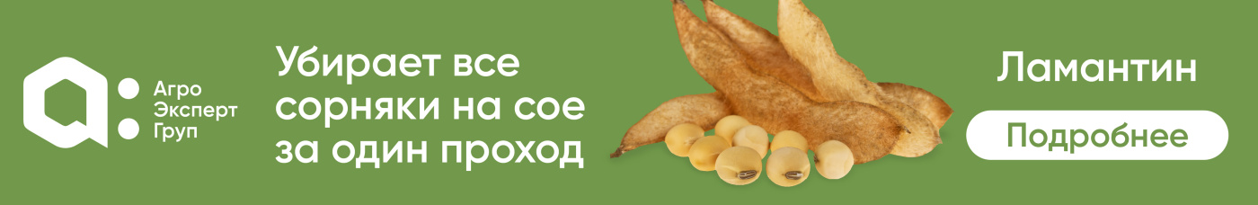 Ламантин